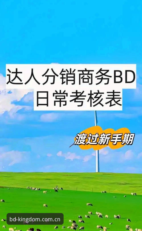 揭秘BD官方平台：从新手到高手的完整操作指南